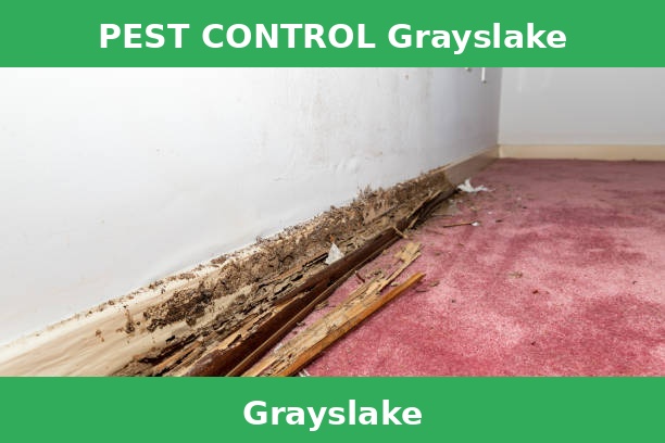 PEST CONTROL Grayslake
